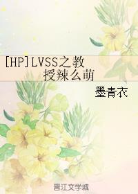 LVSS֮